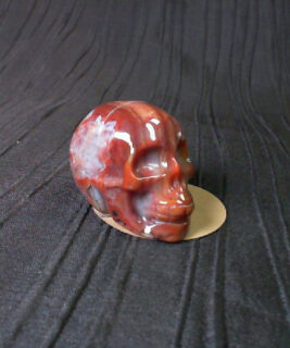 91863 - IvyCat - Carnelion Skull