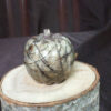 91884 - IvyCat - Picture Jasper Pumpkin