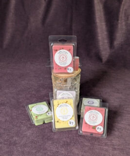 93501 - Wickless Intentions - Wax Melts