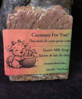 93017 - Ducked Up Farm  - Coconuts for you Goats Milk Soap