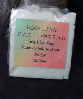93019 - Ducked Up Farm  - Beach Please Goats Milk Soap